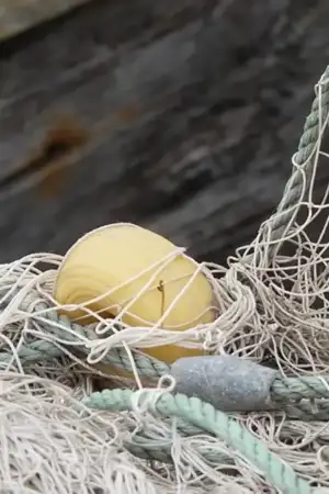 Cheias em Alcácer do Sal afetam pesca e espécies do estuário